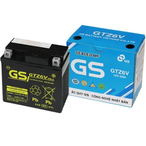 Ắc quy GS GTZ6V (12V-5Ah)