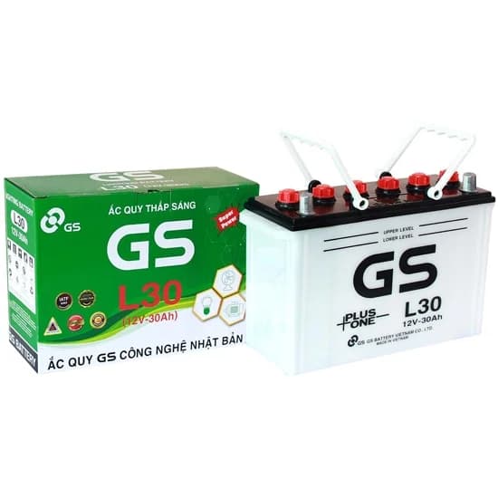 Ắc quy GS L30 (12V-30Ah)